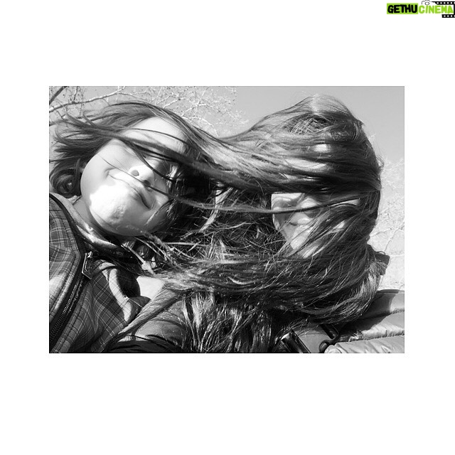 Antonia Giesen Instagram - Entre bocas y vacas, escenarios, diarios, garabatos y pelos.