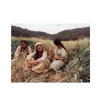 Antonia Giesen Instagram - Revisando las nominaciones de las distintas categorías de los premios Caleuche, pienso, cresta que maravillos@s y tremend@s actrices y actores tenemos en Chile! Me enorgullecen tod@s l@s nominad@s y también much@s otr@s que no lo están, pero que sabemos cuánto hacen y entregan, imaginando, ensayando, grabando en el set y fuera del set. Estoy muy agradecida por esta nominación, porque siempre es un calorcito al cuerpo y una nueva confirmación de que una no lo está haciendo tan mal, pero a su vez, agradecida por estar compartiendo en esta categoría con mansas actrices, de esas que tan solo pensar en la idea de que algún día podrás llegar a compartir escena te derrite, y que tal vez, muy temblorosa llegarás a ese encuentro y luego solo podrás sentir hogar. Porque justamente eso es lo que las hace tan tremendas. De algunas lo sé con certeza porque he tenido el honor de trabajar con ellas, de otras he tenido el placer de presenciar cómo trabajan y de otras he gozado al escuchar sobre cómo trabajan a partir de comentarios de otr@s. Y me agarro de este piropo al mundo de la actuación para continuar diciendo que me alegra, alivia e ilusiona profundamente tener al presidente electo @gabrielboric como aliado de las artes. Un presidente, que intuyo a partir de sus actos, que sabe lo que sus artistas están haciendo, que nos habla de música, poesía, que va al teatro, que ve cine, que posiblemente sabe que el arte obsesiona, que puede enloquecer, pero que sin duda, ante todo, sana y nutre al mundo, porque nos conecta, ya sea in situ mientras creamos o la extensión de la obra cuando llega a la vista o a las manos de l@s otr@s. Tal vez esta reflexión es un tanto volátil de mi parte, pero es que no dejo de pensar que estos premios en particular solo provienen de la genuina intención de querer cuidarnos como nicho, y eso solo se hace a través del reconocimiento. GRACIAS @somoschileactores Mis agradecimientos eternos a todo el equipo de Inés del alma mía (elenco, dirección, maquillaje, vestuario, tecnic@s, arte, tod@s) porque fueron siempre tremendamente generos@s, y porque aún en medio de un estallido social, álgido, difícil y hermoso sacamos adelante esta serie.