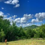 Antonija Blaće Instagram – Evo vam malo plave i zelene da vam se oči odmore 😍 koja vas više odmara?