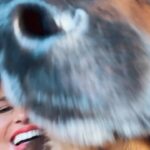 Antonija Blaće Instagram - Mi kompići u djiru 🥰 Živo me zanima koliko vas ima doma neku životinjicu. Imate li najveću ljubav na svijetu AKA kućnog ljubimca? Ljubav, frenda, krznenog sustanara, pernatog kompanjona…. Tu je anketa, a u kometar napišite koje biće je u pitanju 🥰