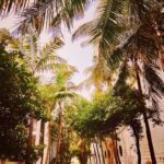 Antonija Blaće Instagram - photo dump 2 - MIAMI Šta se slikalo slikalo se 😂 Šta nije- pamtit ćemo 😎 #travel #miami #putovanje #travelblogger #vacay