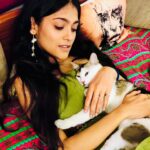 Anusha Viswanathan Instagram - Puppy Love. 🩵 . . . #birthday #happiness #moments #memories #joy #love #birthdayscenes #warmth #hope #magic #fashion #aesthetic #aesthetics #laughter #mypeople #grateful #birthdaydump #sareelove #bengali #petfriends #doggolove #cattolove #sareenotsorry #instablogger #lifestyleblogger