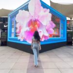 Anvesha Vij Instagram - Craving a slice of Singapore in Mumbai? 🌆✨ Swing by Phoenix Palladium for a mind-blowing Singapore showcase and check out @visit_singaporein ’s 3D anamorphic installation to get a sneak peak of what’s to come! Plus, there’s an awesome AR Filter contest where you can explore famous Singaporean spots. And guess what? You could even win a trip to Singapore! Here’s how: 1. Scan the QR 2. Rock the filter 3. Tag @visit_singaporein & @homegrownin 4. Add your creative flair to your video and you could be jet-setting to Singapore! Don’t forget to indulge in some delicious Singaporean-inspired food and cocktails at @socialoffline . Let’s get our Singapore trip on the calendar! 🍹🍜 📍Phoenix Palladium, Lower Parel, Mumbai #passionmadepossible #madeinsingapore