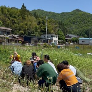 Aoi Yamada Instagram - ☀️🌱
今朝は姫路の農家さん　@hppbm で
野菜と大地と太陽と交流。

人間の知識を大地に強いるのではなく、
自然の現象に耳を傾けて、
偶然を必然と捉えて日々実験されているタカシさんの畑。
裸足で踊ったら、身体の中に溜まっていた何かが放出された💡

@birkenstock_jp 
素敵な機会を作っていただきありがとうございました！

一緒に踊ってくださった皆様、たかしさん、
ありがとうございました😊

#八方美菜 
#八方美米
#野菜ダンス
#YASAIDANCE