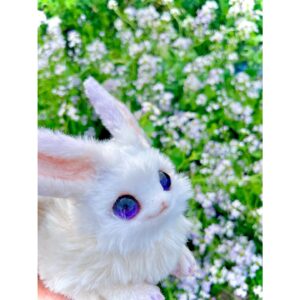 Aoi Yuki Instagram - クノエ色の綺麗な花だ〜って写真撮ってたら母に、
それ大根じゃね？って言われて、ほぇーとなった。
本当に大根かは分からない🥬

 #ぬいぐるみ  #ぬい撮り  #ぬい撮り写真部