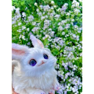 Aoi Yuki Instagram - クノエ色の綺麗な花だ〜って写真撮ってたら母に、
それ大根じゃね？って言われて、ほぇーとなった。
本当に大根かは分からない🥬

 #ぬいぐるみ  #ぬい撮り  #ぬい撮り写真部