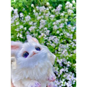 Aoi Yuki Instagram - クノエ色の綺麗な花だ〜って写真撮ってたら母に、
それ大根じゃね？って言われて、ほぇーとなった。
本当に大根かは分からない🥬

 #ぬいぐるみ  #ぬい撮り  #ぬい撮り写真部