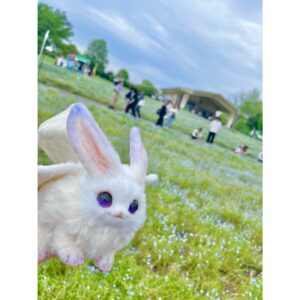 Aoi Yuki Instagram - ネモフィラもみました✨広い公園気持ち良かったー！

  #ぬい撮り  #ぬいぐるみ  #ぬい撮り旅  #ネモフィラ