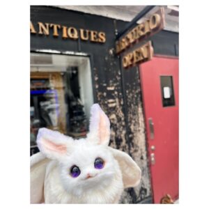Aoi Yuki Instagram - 友人らと吉祥寺散歩した時の思い出📷💭
友人のうち1人のススメで唐突に虫の標本屋さんにいき、
そしてうっかりお迎えしてしまった日🦋.*˚
※写真の最後蝶々なので苦手な人は注意