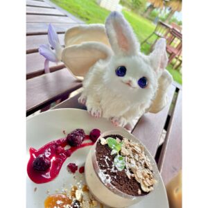 Aoi Yuki Instagram - 家族で出かけた時入ったカフェで、全部ロカボ素材でできたスイーツなるものに出会いました。しかもめちゃ美味しかった。余談ですがロカボときくと、ポケモンの名前みたいだなって思います。ロカボ→ロカボン→ロカボネスに進化する。ノーマル/草タイプ。

 #ぬい撮り  #ぬい活  #ぬいすたぐらむ