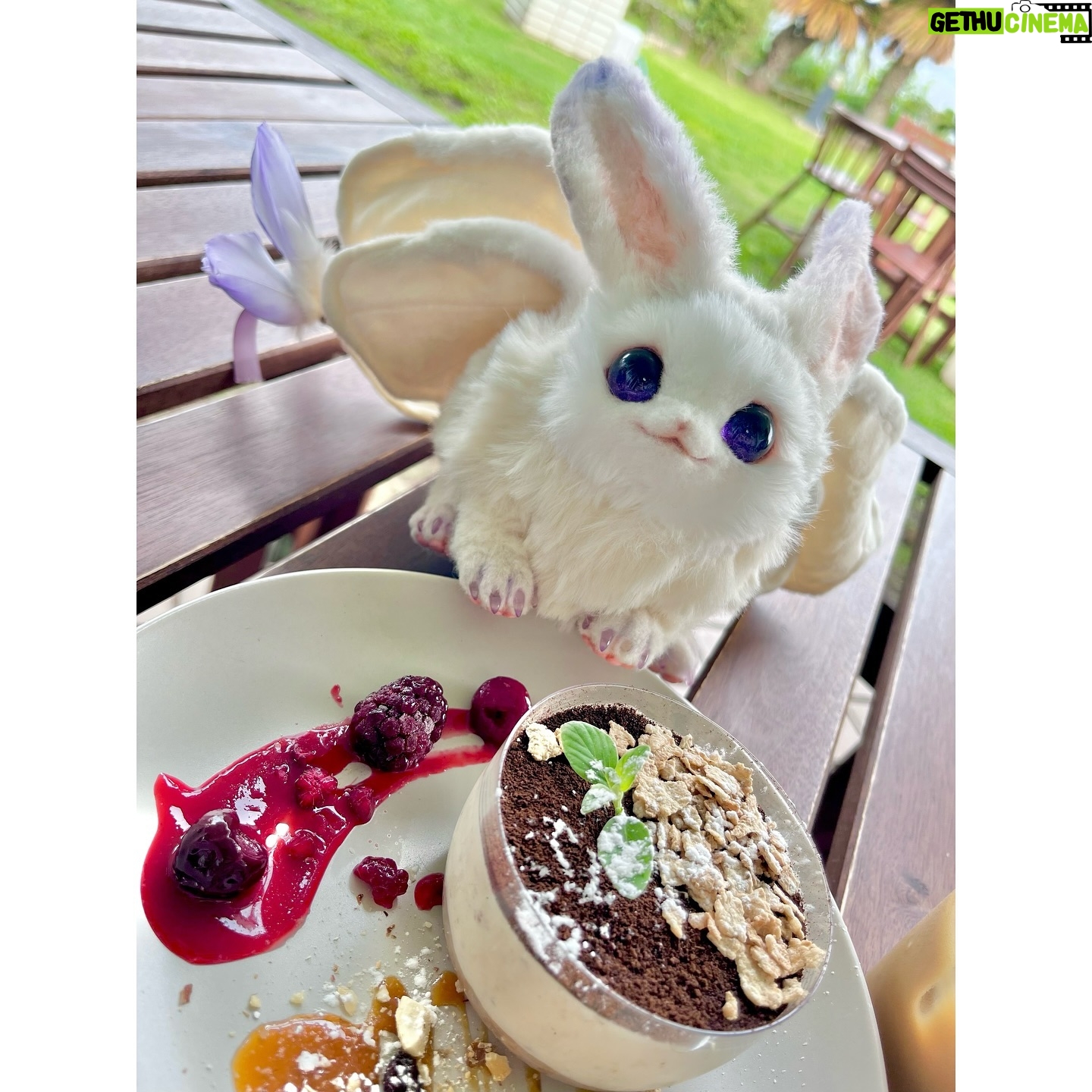 Aoi Yuki - 3 Likes - 家族で出かけた時入ったカフェで、全部ロカボ素材でできたスイーツなるものに出会いました。しかもめちゃ美味しかった。余談ですがロカボときくと、ポケモンの名前みたいだなって思います。ロカボ→ロカボン→ロカボネスに進化する。ノーマル/草タイプ。
#ぬい撮り #ぬい活 #ぬいすたぐらむ