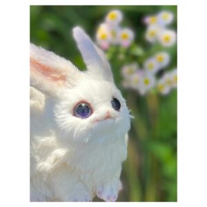 Aoi Yuki Instagram - ハルジオンとクノエ

 #ぬいぐるみ  #ぬい撮り