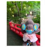 Aoi Yuki