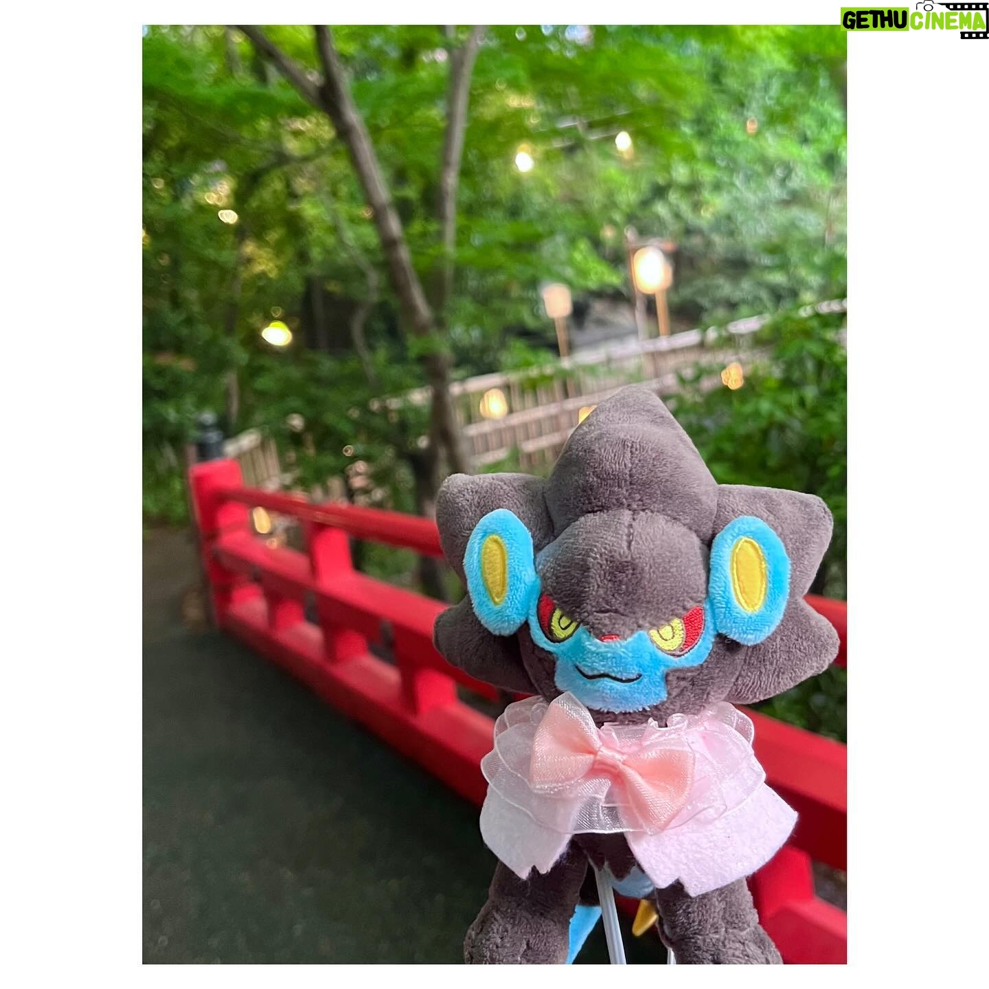 Aoi Yuki - 3 Likes - 春めいた椿山荘にて☘ ̖́-
アフタヌーンティーをした後にお庭にもお邪魔して
ぬい撮りしてきました。霧の演出が凄かったです。
#ポケ活 #ぬい活 #ぬい撮り #ポケモン
#レントラー #ユキメノコ #嫁1
