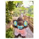 Aoi Yuki