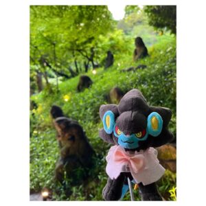 Aoi Yuki Instagram - 春めいた椿山荘にて☘ ̖́-
アフタヌーンティーをした後にお庭にもお邪魔して
ぬい撮りしてきました。霧の演出が凄かったです。

 #ポケ活  #ぬい活  #ぬい撮り  #ポケモン
 #レントラー  #ユキメノコ  #嫁1