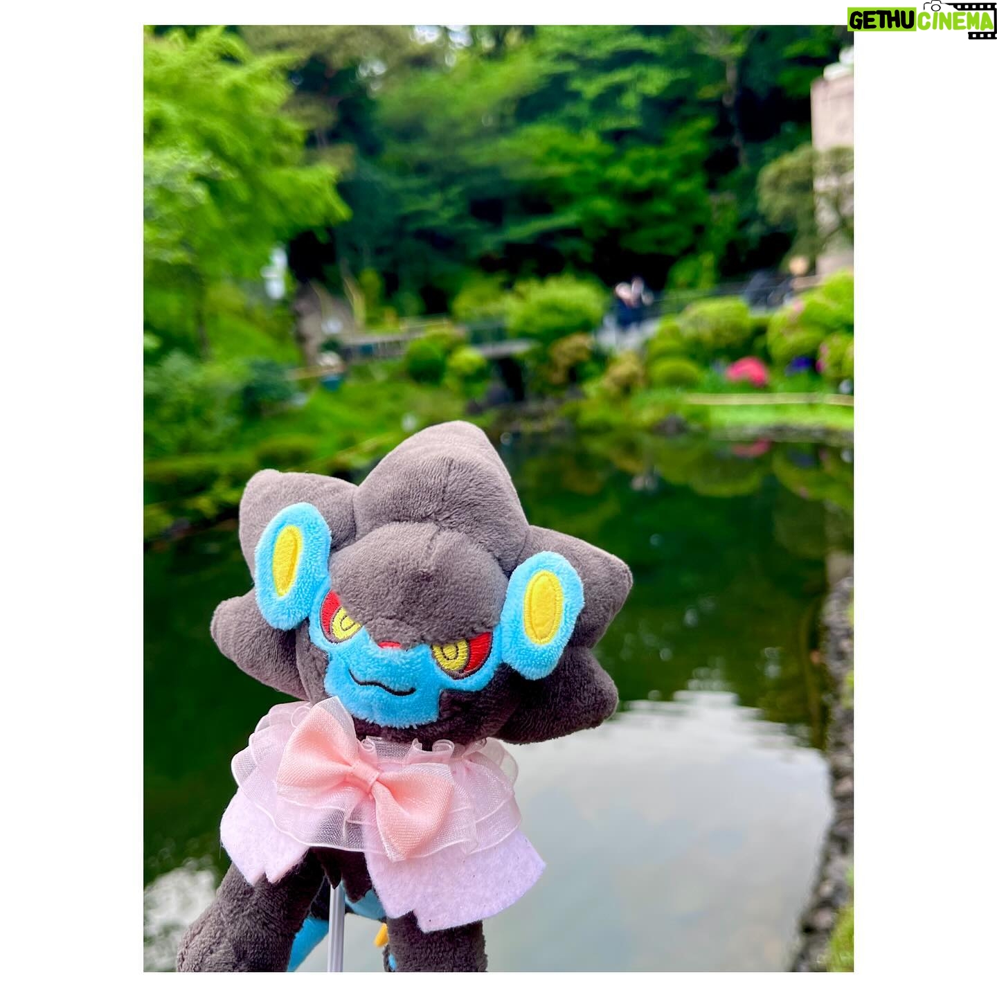 Aoi Yuki - 3 Likes - 春めいた椿山荘にて☘ ̖́-
アフタヌーンティーをした後にお庭にもお邪魔して
ぬい撮りしてきました。霧の演出が凄かったです。
#ポケ活 #ぬい活 #ぬい撮り #ポケモン
#レントラー #ユキメノコ #嫁1