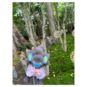 Aoi Yuki Instagram - 春めいた椿山荘にて☘ ̖́-
アフタヌーンティーをした後にお庭にもお邪魔して
ぬい撮りしてきました。霧の演出が凄かったです。

 #ポケ活  #ぬい活  #ぬい撮り  #ポケモン
 #レントラー  #ユキメノコ  #嫁1