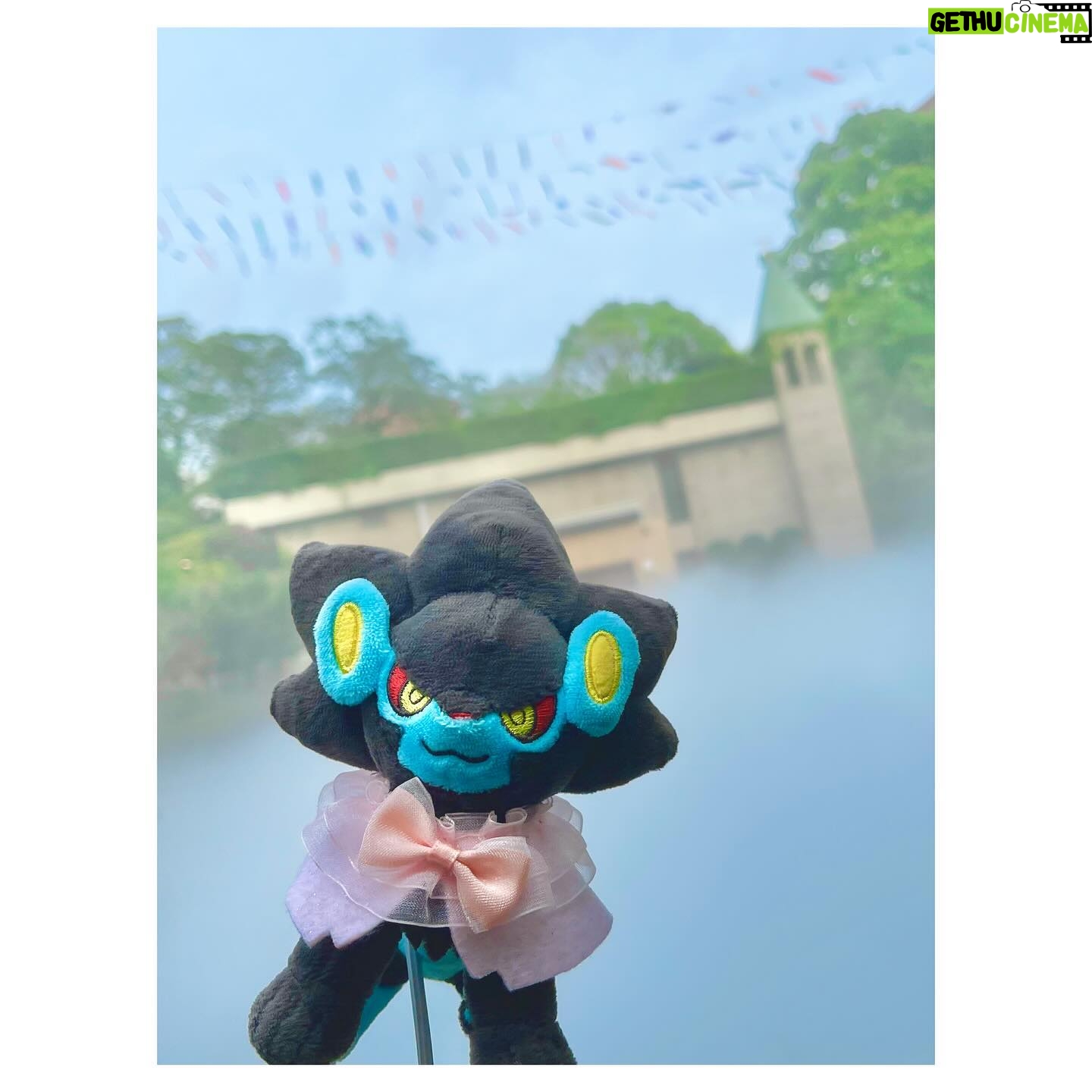 Aoi Yuki - 3 Likes - 春めいた椿山荘にて☘ ̖́-
アフタヌーンティーをした後にお庭にもお邪魔して
ぬい撮りしてきました。霧の演出が凄かったです。
#ポケ活 #ぬい活 #ぬい撮り #ポケモン
#レントラー #ユキメノコ #嫁1