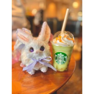 Aoi Yuki Instagram - メロンフラぺおいしかったよねぇ🍈
この日は新しいリボンを付けてのおでかけでした🎀

 #ぬい撮り  #ぬいぐるみ  #ぬいどり  #うさぎ
 #すたば  #フラペチーノ