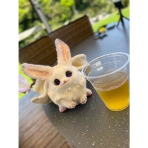 Aoi Yuki Instagram - 緑茶で酔うクノエ
 #ぬい撮り  #ぬいぐるみ