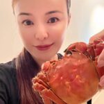 Apple Hong