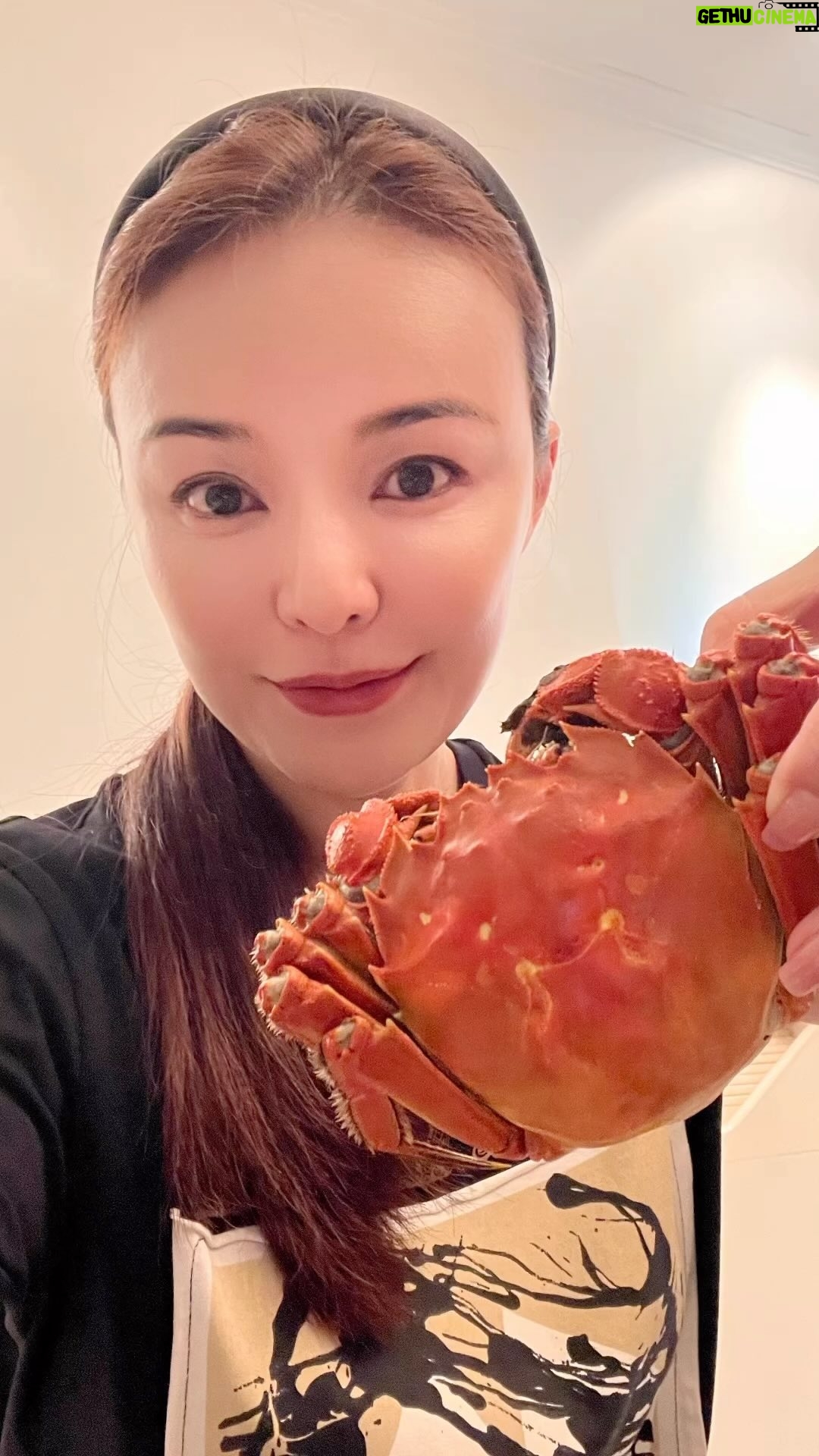 Apple Hong - 178 Likes - The season for both female and male crab 🦀 are at the peak ! 😍 So blessed that my friend brought back from Shanghai for me🥰 My first time steam hairy crab home. Learn a new skill now 😄 在家吃可以完全不顾形象!Nice!😋😝
#hairycrab #spring #homecook #steamhairycrab #pairing #burgundy #whitewine #batardmontrachet #2002