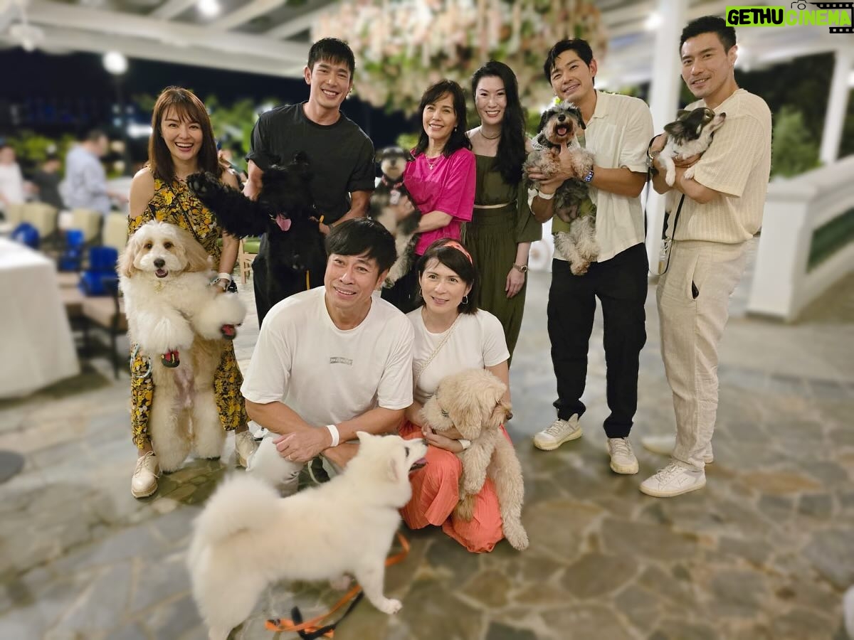 Apple Hong - 3 Likes - We had a “Pawfect” time! We’re a bunch of happy Pawsrent 🐾 Such a great evening with cuteness overloaded by all the fur kids 🐶🦮🐕🦺🐩🐕 Happy 10th anniversary @springveterinarycare @pawlyclinic Congratulations on 10 years of excellence dear Dr. Rachel and team 🥳🥂