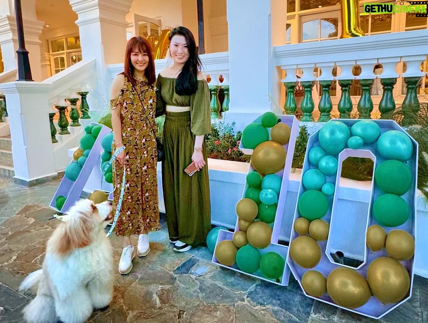 Apple Hong - 3 Likes - We had a “Pawfect” time! We’re a bunch of happy Pawsrent 🐾 Such a great evening with cuteness overloaded by all the fur kids 🐶🦮🐕🦺🐩🐕 Happy 10th anniversary @springveterinarycare @pawlyclinic Congratulations on 10 years of excellence dear Dr. Rachel and team 🥳🥂