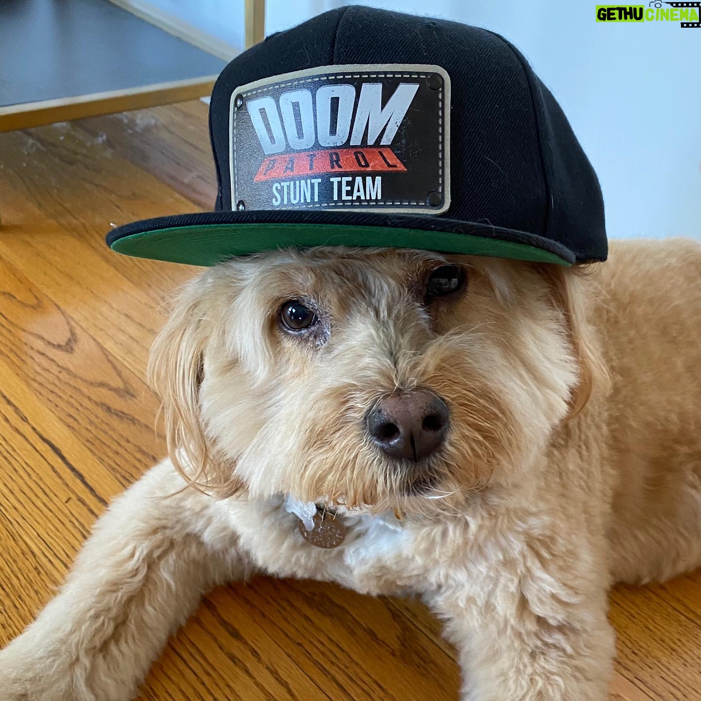 April Bowlby Instagram - Happy New Year! #clementinedoesherownstunts @doompatroldcu @hbomax #2020 @thedcuniverse