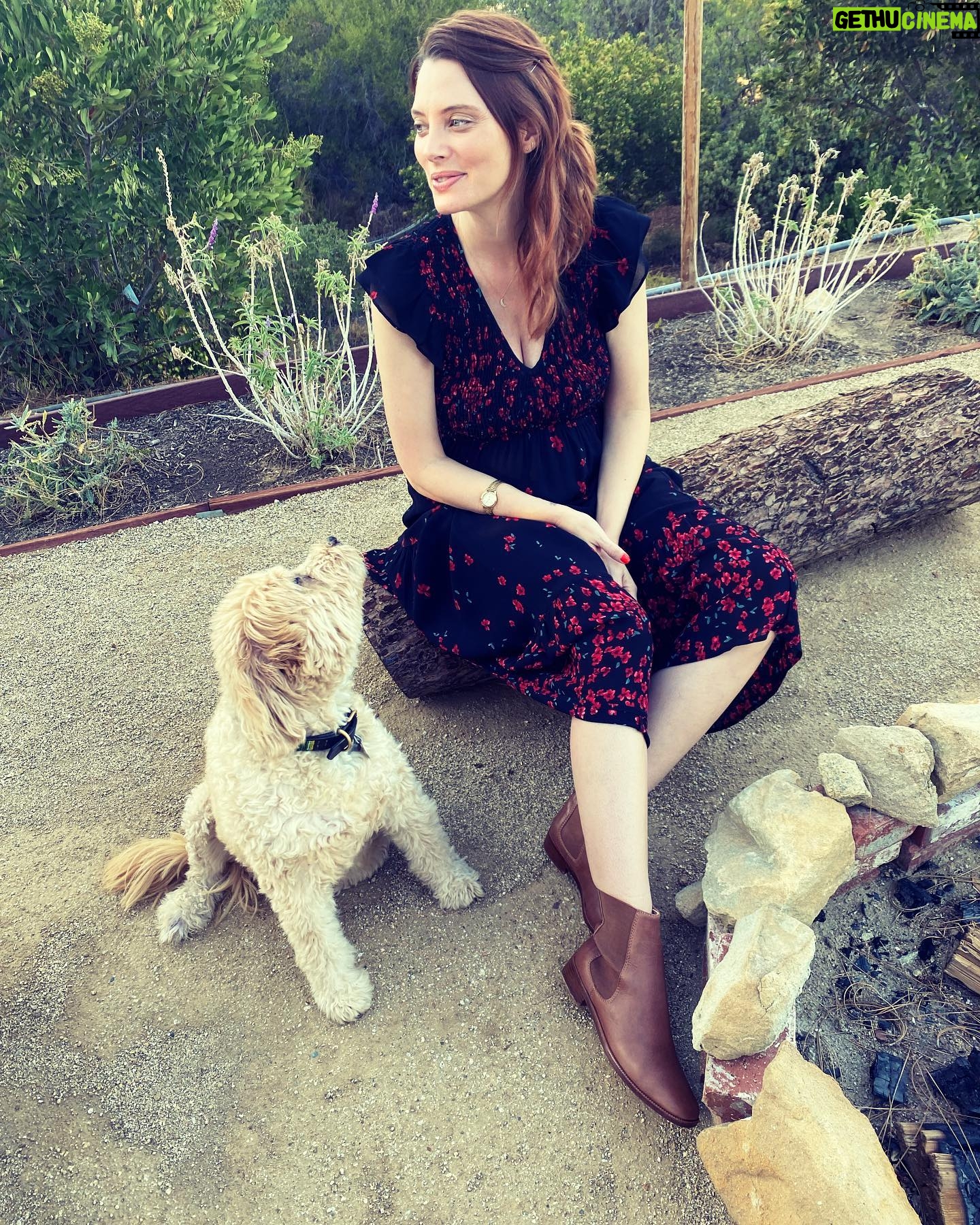 April Bowlby - 19.4K Likes - Fall is here 🍂
This dress helps heal the earth
@christydawn #farmtocloset #bodiedress #deadstockfabric #chelseaboot