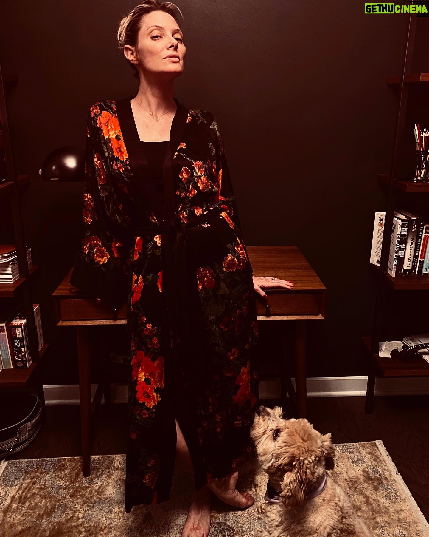 April Bowlby - 8.9K Likes - THIS JUST IN. Silk is a fabric first produced from the filaments of the cocoon of one silkworm. And THIS is sustainably made vegan silk. Which means no silk worms were involved in the making of this robe. Science!!! Designed by @niluu #vegansilk #sosilky #clementineapproved #niluu @noeudpr Genius Stylist: @iamsaraacevedo