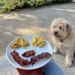 April Bowlby Instagram - Thanks for breakfast dad. 🍳