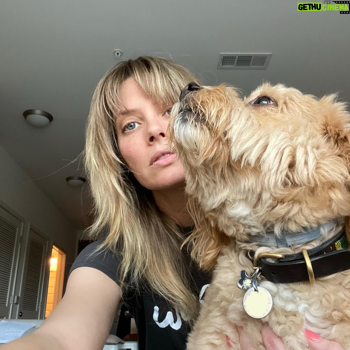April Bowlby - 11.2K Likes - Today is 🍋