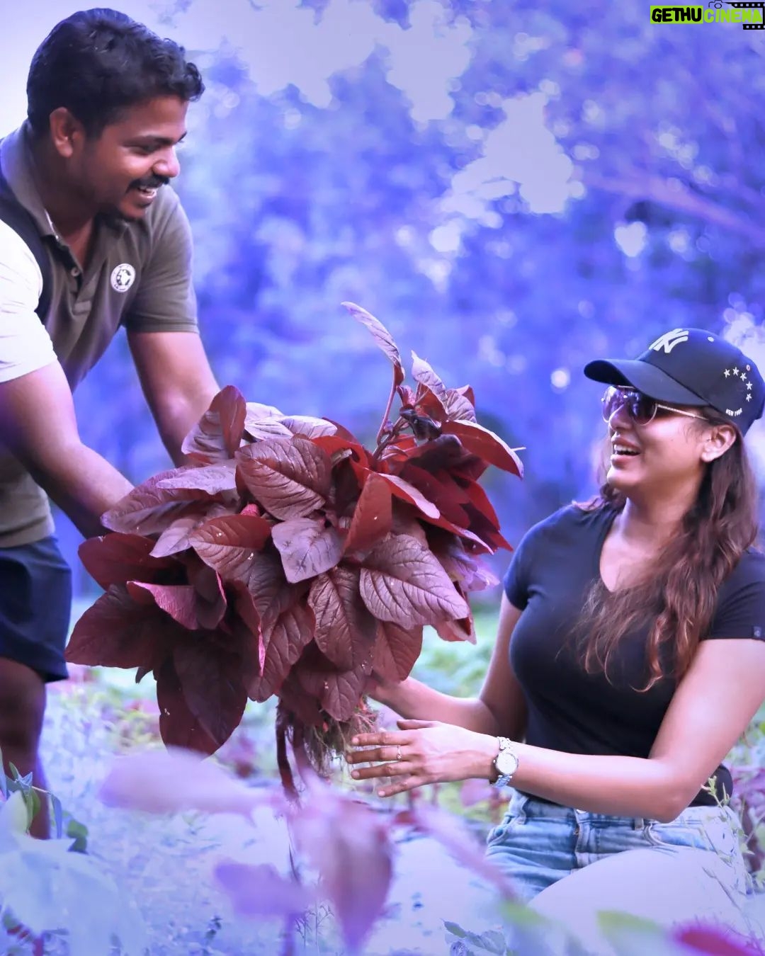 Aradhya Ann - 4.6K Likes - ചീര മേടിക്കാൻ പോയതാ...സുജിത്തേട്ടന്റെ അടുത്ത്... @variety_farmer
#farmer #farmerlife #farmermarket #farmers #farmersmarket #vegitables #spinach #kerala #keralagram #keralatourism #keralagallery #malayalamcinema #malayalamsongs #artist #actress #aradhyaann #kochi