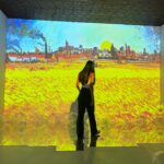 Areeya Pholphutrakul Instagram - #vangogh