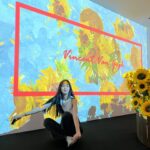 Areeya Pholphutrakul Instagram - #vangogh