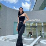 Areeya Pholphutrakul Instagram - 🕊️