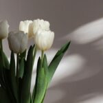 Areeya Pholphutrakul Instagram -