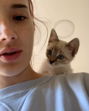 Aria Bedmar Instagram - Este último mes han pasado muchas cosas… 🤭

Tantas, que me he dedicado a vivirlas y a estar menos con el móvil. Me ha sentado muy bien desaparecer un poquito, pero hoy me apetecía echar la vista atrás y ver todo lo que he guardado en el cajón de experiencias en la vida. (Lo de la última foto es muy fuerte… 😳🙌🏻)

Tanto si os gusta la Navidad como si no, tanto si la celebráis como si no, tanto si sois de otras festividades como si no, os deseo todo lo bonito y todo el amor existente en estos días 💙

Feliz Navidad, feliz año nuevo y feliz vida 🎉✨