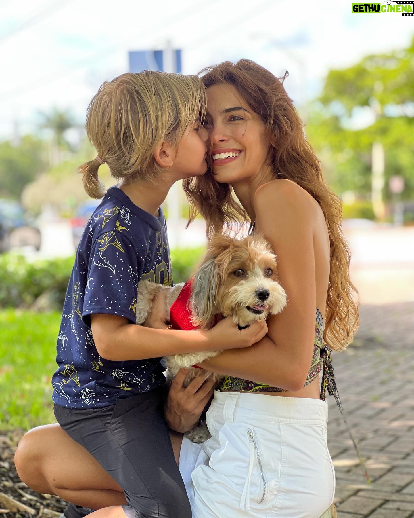 Ariadna Romero - 7.9K Likes - “Siate felici! E se qualche volta la felicità si scorda di voi, voi non vi scordate della felicità.”
🤍