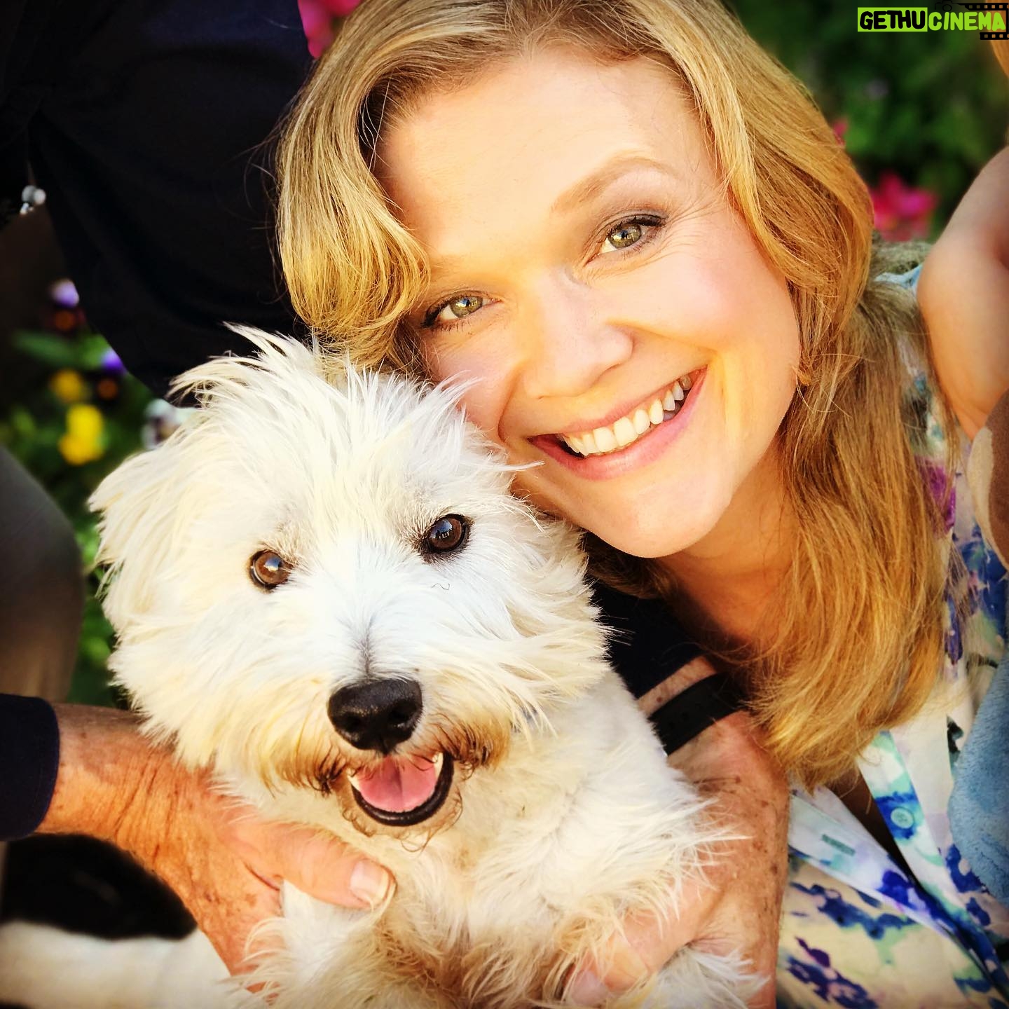 Ariana Richards - 3K Likes - Itās Your day, Laddie!#nationaldogday