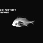 Ariane Moffatt