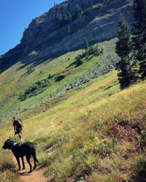 Arianna Powell Instagram - Joined my badass of a brother @bpow_wow on his thru hike from Canada to Mexico for a 60 mile section of the PCT from Seiad Valley to Etna. Kenny the dog came and crushed it. It was truly epic 😩 @janozveren you would be so proud of your boyyy!!!