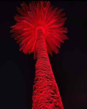 Arianne Phillips Instagram - seeing RED 
#ariannearchive