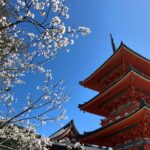 Ariel Mortman Instagram – 🍙🍶🐙🌸⛩️