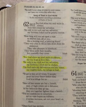 Arielle Reitsma Instagram - Gods word has all the answers. 🕊️