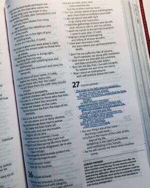 Arielle Reitsma Instagram - Gods word has all the answers. 🕊️