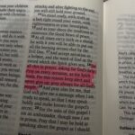 Arielle Reitsma Instagram - Gods word has all the answers. 🕊️