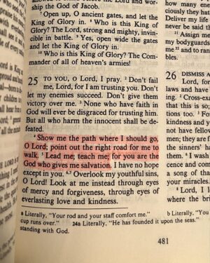 Arielle Reitsma Instagram - Gods word has all the answers. 🕊️